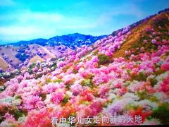 -保利国际影城(中环店)