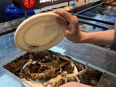 -黑金·寻焰自助百汇·烤肉·火锅(中街店)