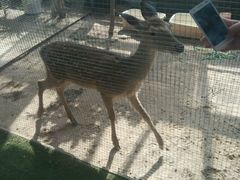 -万源龙顺度假庄园生态观光园