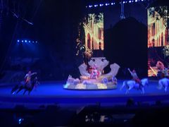 -广州长隆国际大马戏