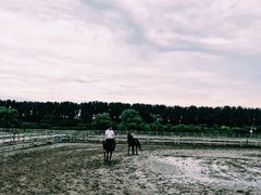 -月河湾马术俱乐部(朝阳店)