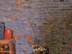 -曲廊院(东四十一条店)