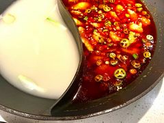 -新辣道鱼火锅(摩尔城店)