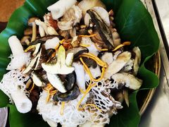 -野菌园·野生菌火锅首创第一家(关兴路总店)