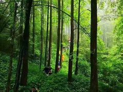 -四川省成都市彭州市白鹿镇