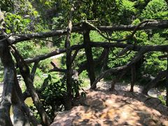 -水墨汀溪风景区