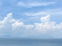 -七鲜渔港美食餐厅(巽寮湾海景店)