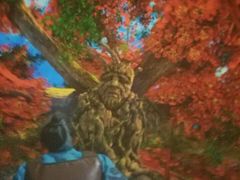 -芜湖黄河国际旅行社