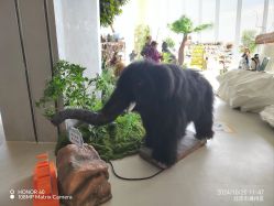 -IMON·HANSA潮玩玩偶毛绒玩具(通州万象汇店)