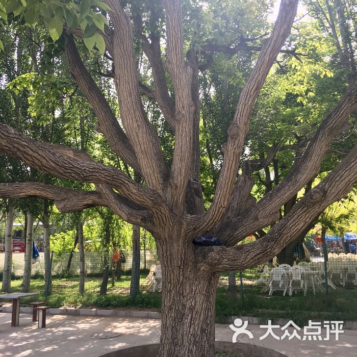 都市春天生态园