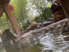 -大理地热国