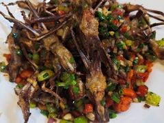 -61号餐吧(兴坪古镇漓江店)