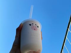 -一只酸奶牛(汕头金平万达广场店)