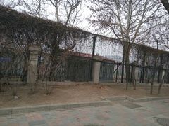 -天津市第二中学