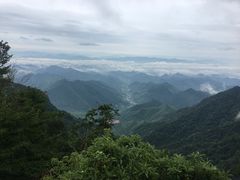 -天目山大树王景区