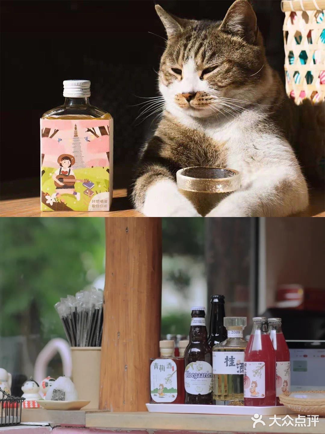 不用去巨猫岛｜杭州西溪湿地里就有萌宠天堂