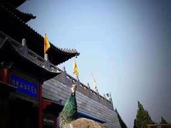 -大槐树寻根祭祖园