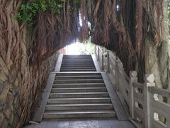 -乌山风景区