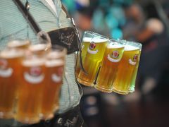 -普拉那啤酒坊Paulaner(凯宾斯基饭店)