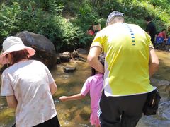 -广州白江湖森林公园