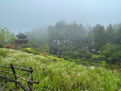 -梭布垭石林景区