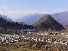 -秦岭风景区