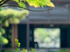 -湘湖逍遥庄园·水漾中餐厅