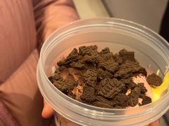 -溪边姑娘·拉丝酸奶水果捞(春熙路店)