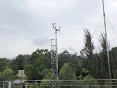 -广东惠东海龟国家级自然保护区