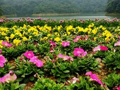 android_upload_pic-广州市石门国家森林公园