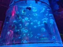 -大明湖海底世界