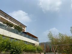 -五龙城郊森林公园