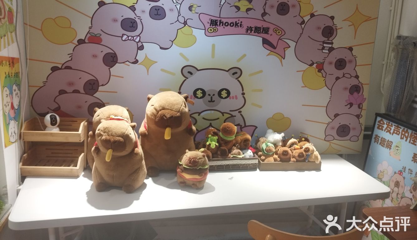 清清凉凉海石花