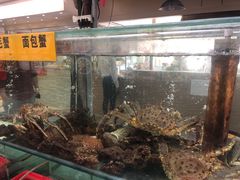 -寻味顺德·南记酒家·传统顺德菜·鱼生(广源路店)