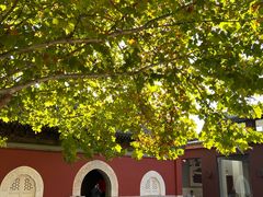 -嵩祝寺及智珠寺