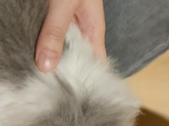 -猫腻·猫咖·撸猫馆(星光大道店)