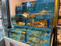 -鲜鲜·鲅鱼圈海鲜(于洪店)