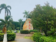 -万绿园