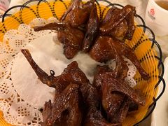 -百利鸽王(紫薇路店)