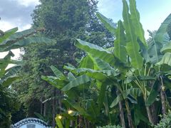 -九龙湾·御膳坊(九龙窠路店)