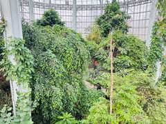 -郑州植物园