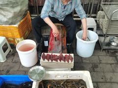 -铜元老码头鳝鱼火锅