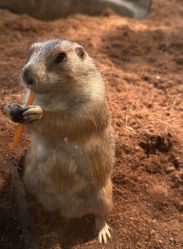 -Zoolung Zoolung动物主题公园(海信广场店)