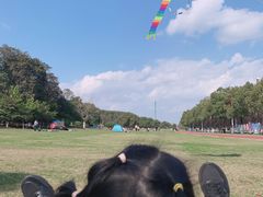 -艾溪湖湿地公园