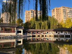 -团结湖公园