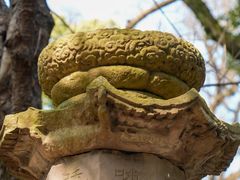 -宁波市保国寺古建筑博物馆