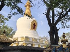 -护国法轮寺
