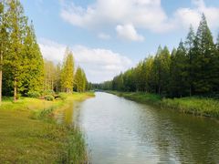 -黄海国家森林公园