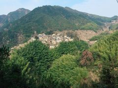 -杨家堂村