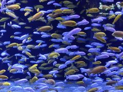 -成都浩海立方海洋公园